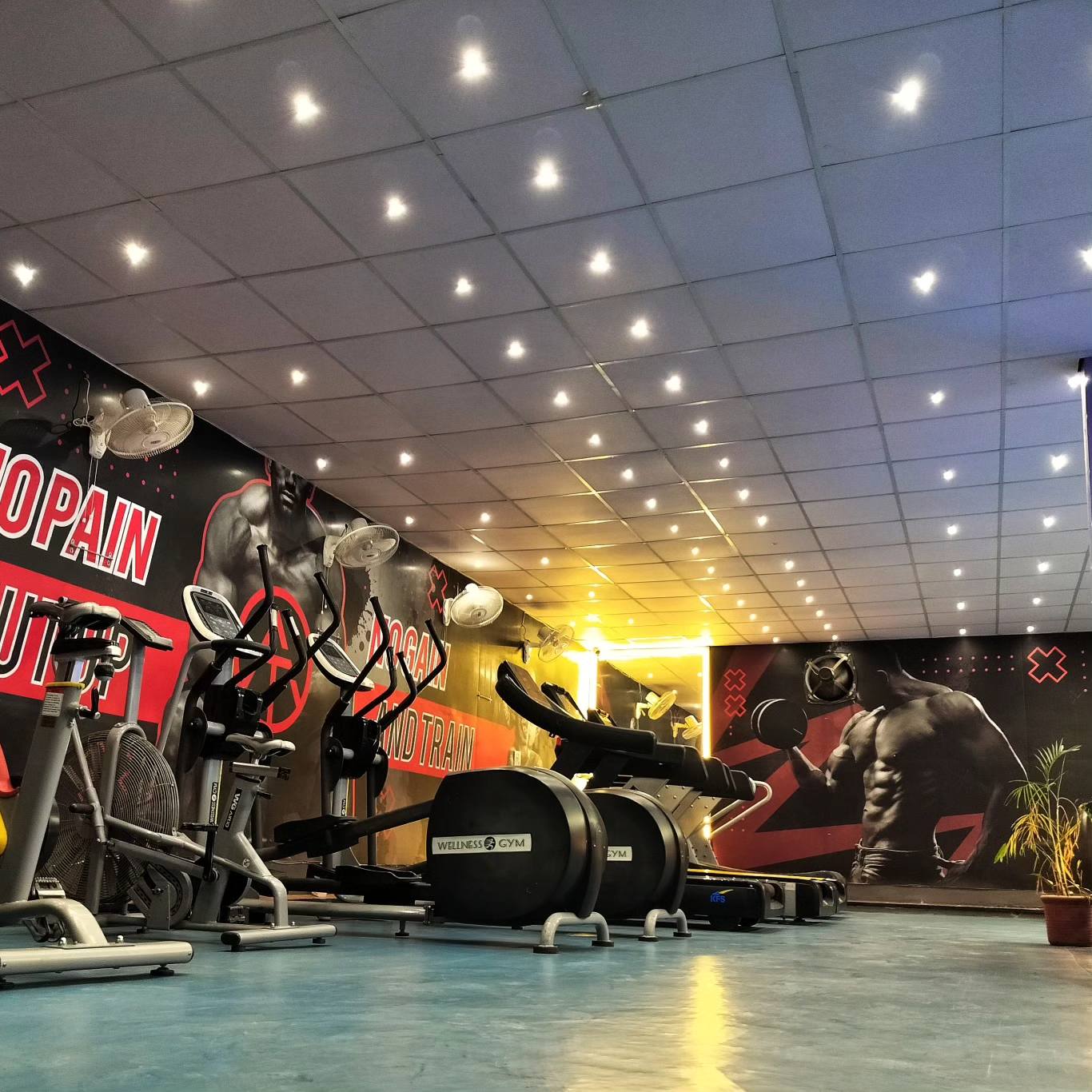 Transform Your Fitness Journey with the Best Gym in Kharar: Expert Training at The Aesthetic - Gyms in India