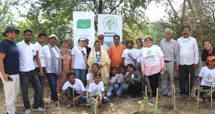 Ammucare Charitable Trust: Nurturing Lives in Kolkata’s Best Senior Living Facility - Old Age Homes in India