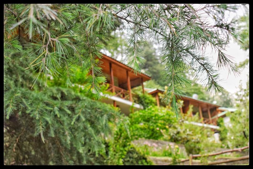 Start Your Day with Himalayan Sunshine at Tall Trees Resort - Vouchers / Coupons in India