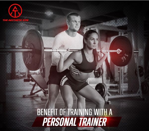 Transform Your Fitness Journey with the Best Gym in Kharar: Expert Training at The Aesthetic - Gyms in India