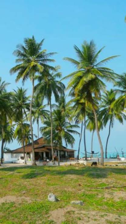 Turtle Nest Resort, Lakshadweep, Luxury Hotel and Best Resort - Travel Agents in India