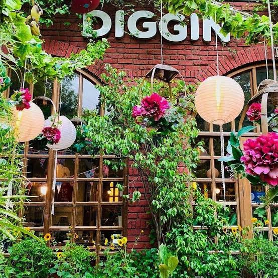 Diggin restaurant, Where Culinary Excellence Meets Cozy Elegance"Anand Lok, Delhi - Restaurant Deals in India