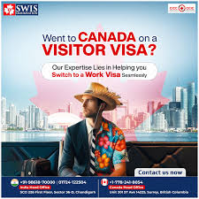 Swis Immigration - Study And PR Visa Consultant | Chandigarh Top Consultant in Chandigarh - Immigration Services in India