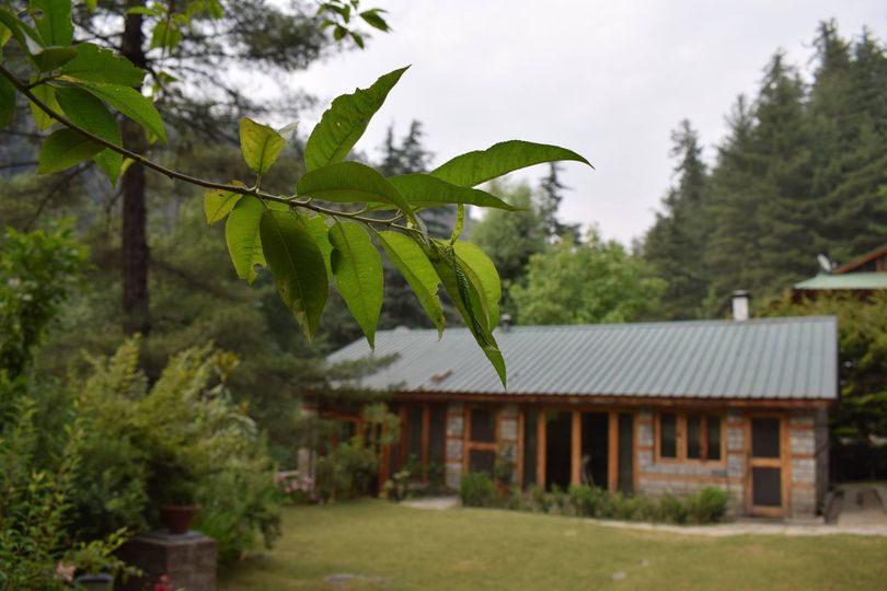 Start Your Day with Himalayan Sunshine at Tall Trees Resort - Vouchers / Coupons in India