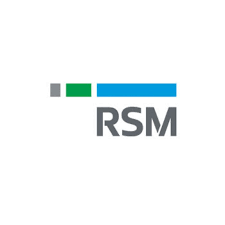 "Financial Accountant at RSM India – Delivering Insightful Solutions" - Accountants in India