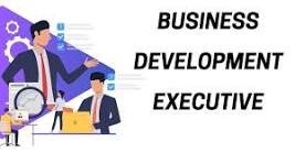 Join Our Team: Business Development Executive at Webpulse Solution Pvt Ltd., Delhi - Office Jobs in India